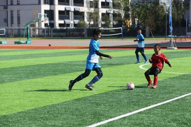 杨43分老鹰力克太阳 字母哥三双雄鹿大胜国王